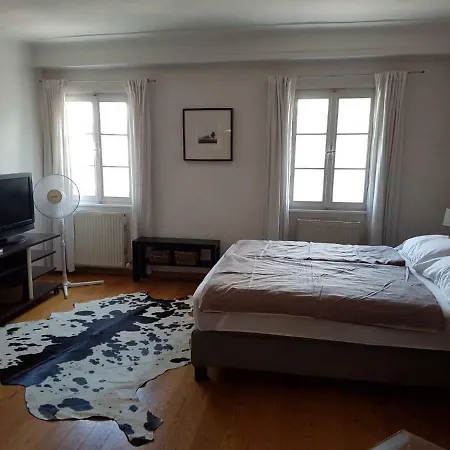 Monchsbergapartments